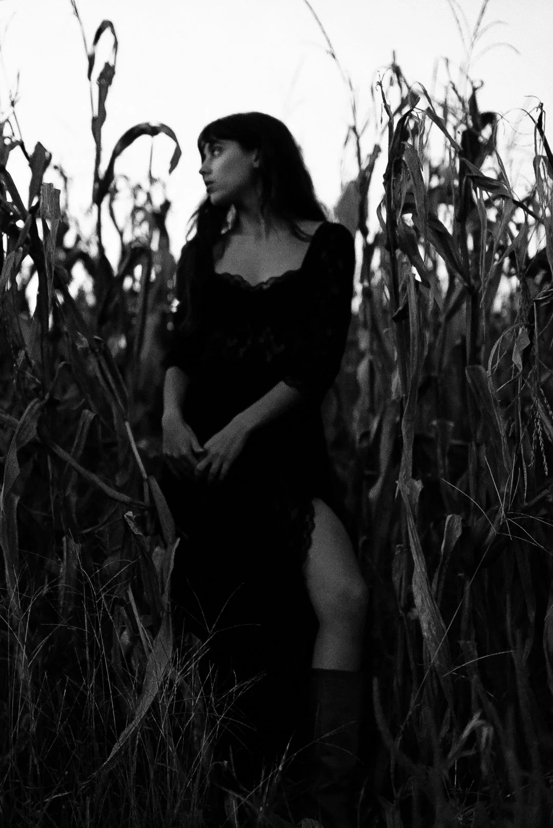 Bailey Bigger Bailey Bigger